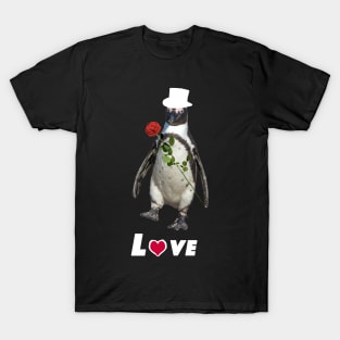 gift idea love T-Shirt